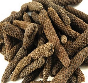 Long Pepper